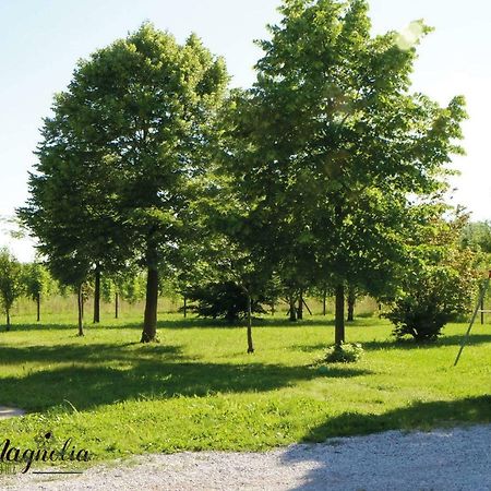 Ca'Magnolia Villa Treviso Eksteriør bilde